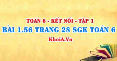 Bài 1.56 trang 28 SGK Toán 6 tập 1 Kết nối tri thức